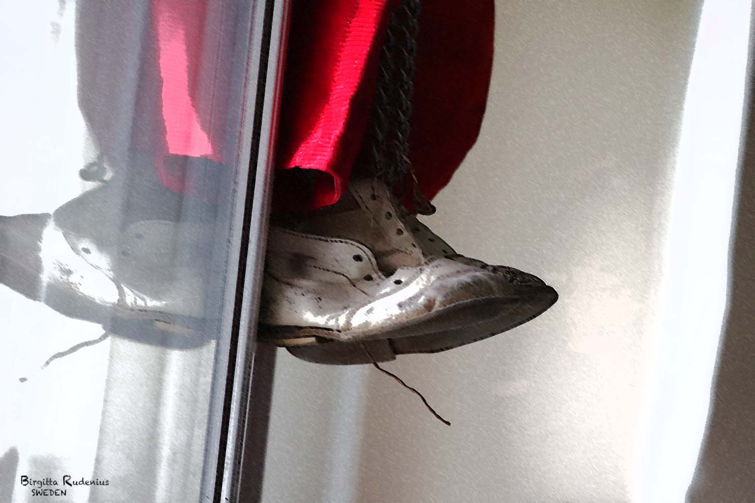 PhotoMania © Birgitta Rudenius