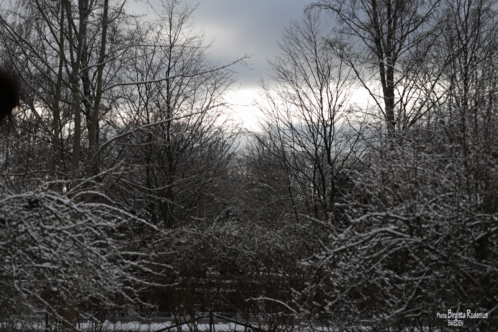 Photo © Birgitta Rudenius