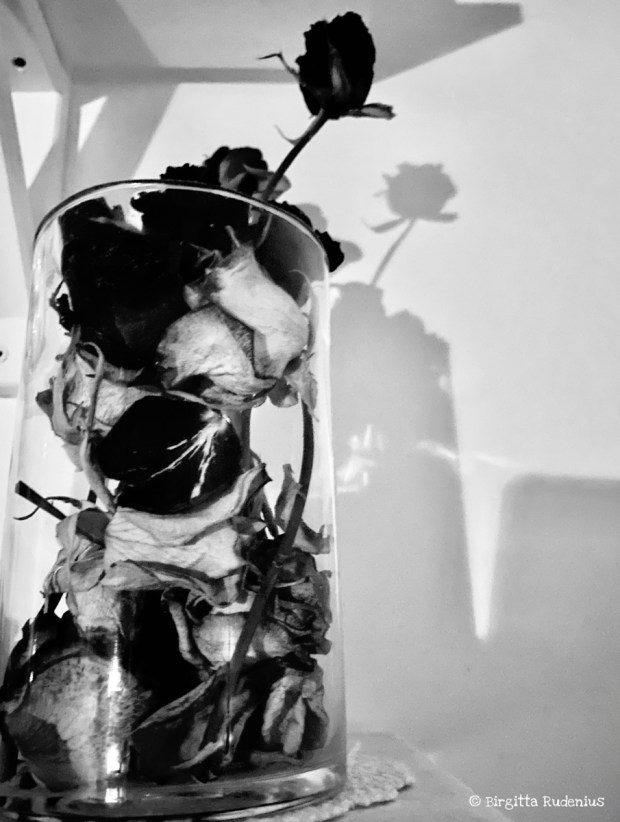 Black and white Photo © Birgitta Rudenius