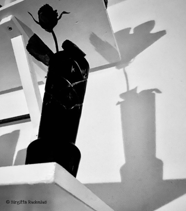 BW Photo © Birgitta Rudenius