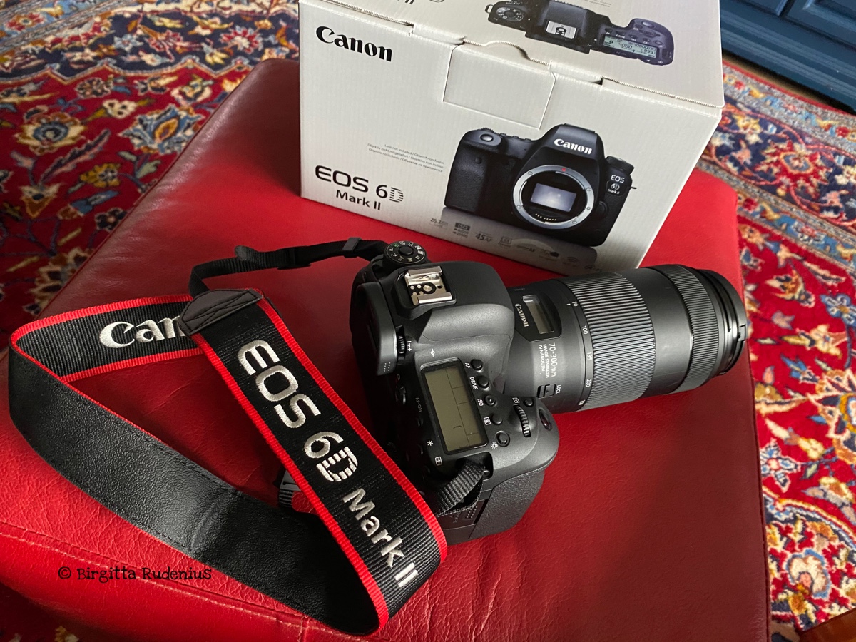 © Birgitta Rudenius