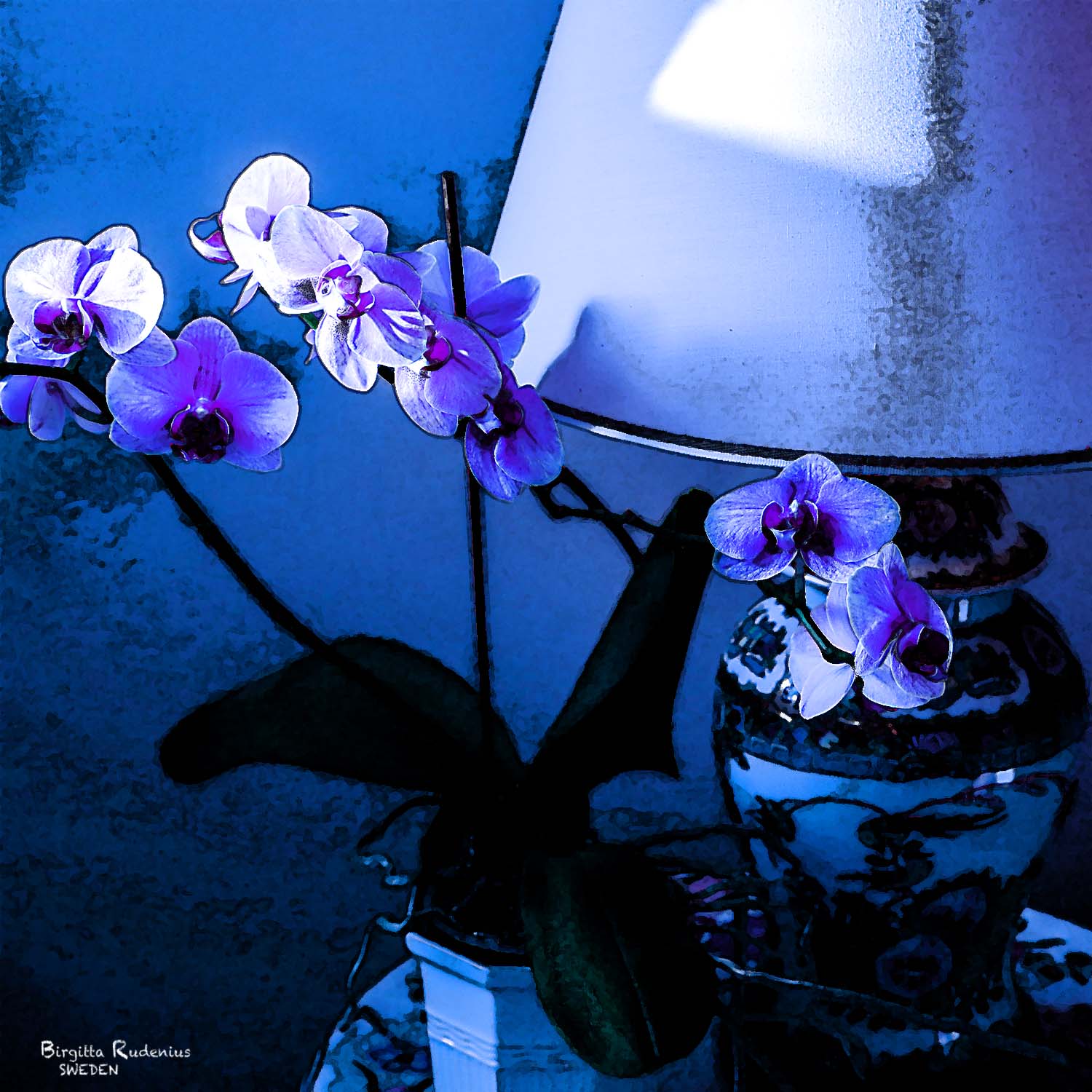 PhotoMania © Birgitta Rudenius