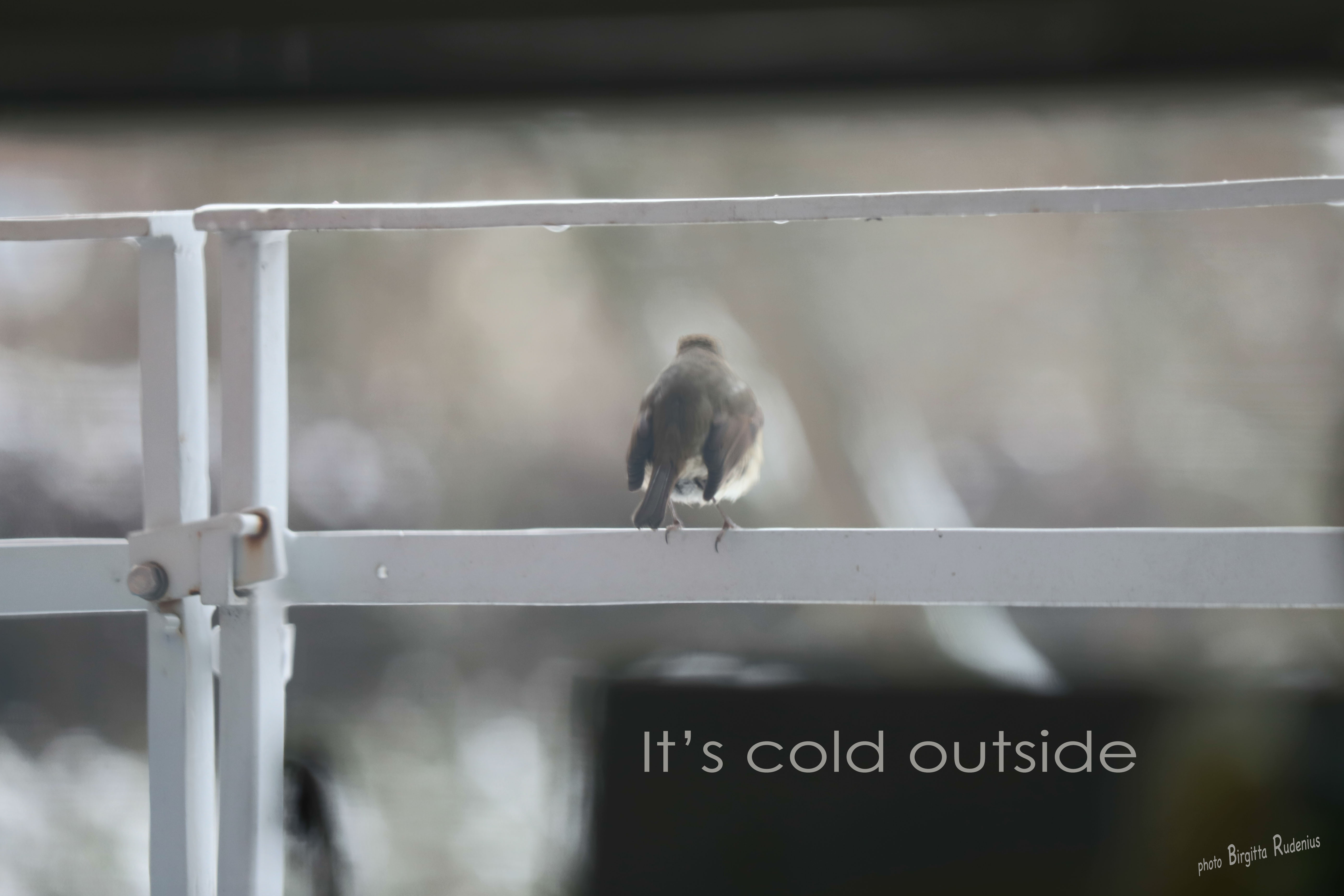 Photo © Birgitta Rudenius