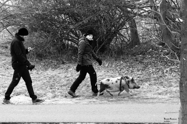 Street Photo © Birgitta Rudenius