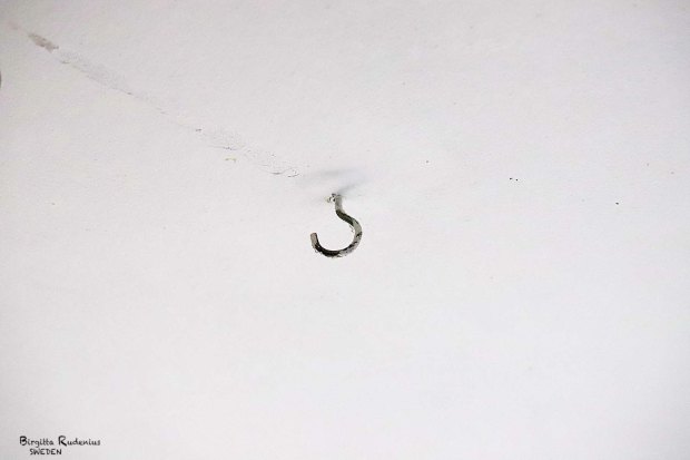 © Birgitta Rudenius