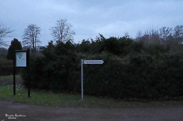 Street Photo © Birgitta Rudenius