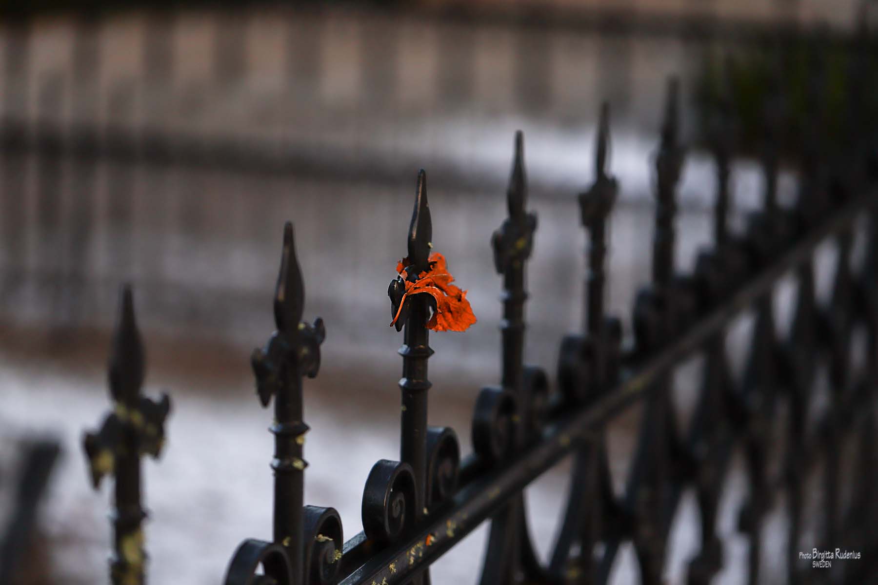 Photo © Birgitta Rudenius