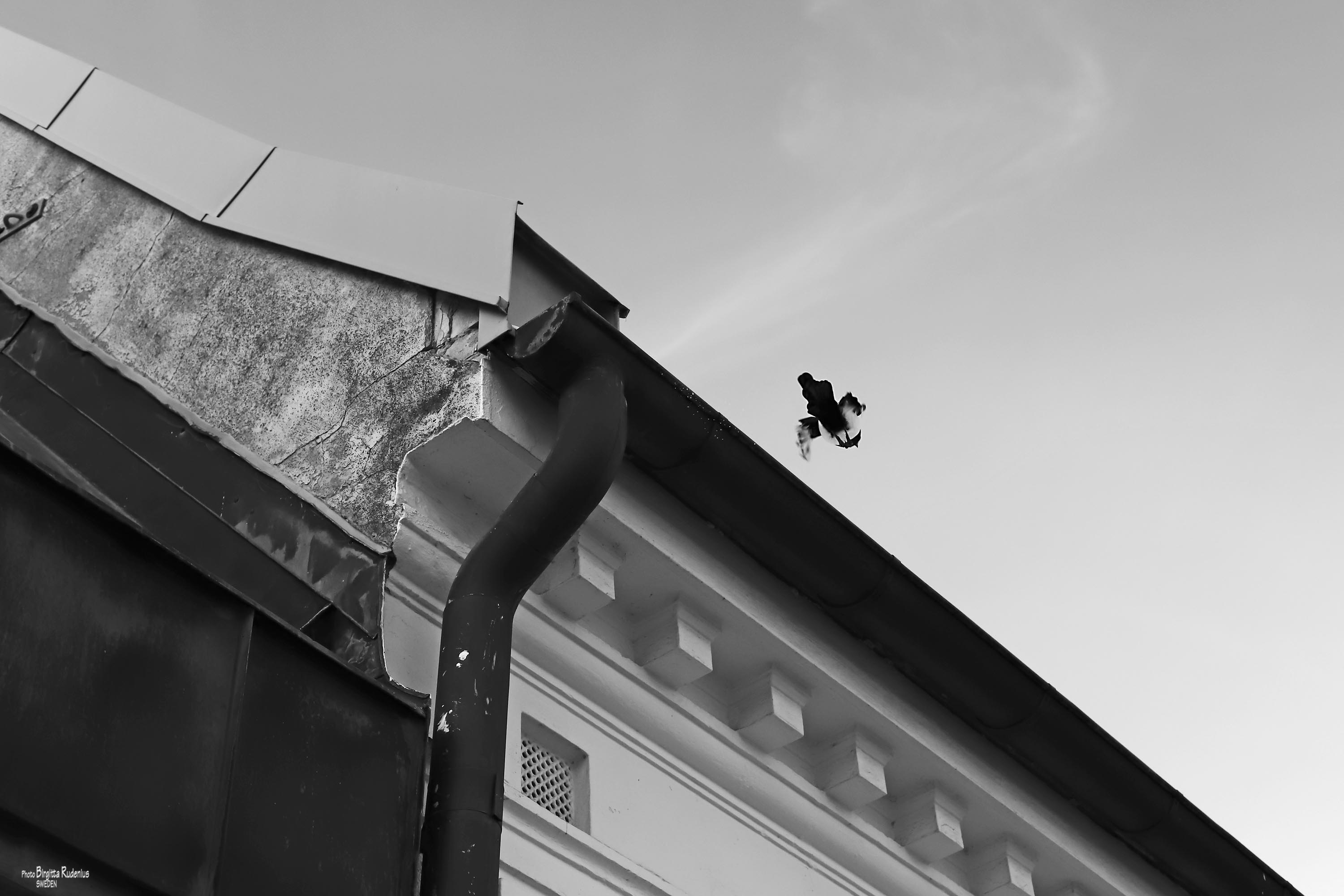 Photo © Birgitta Rudenius