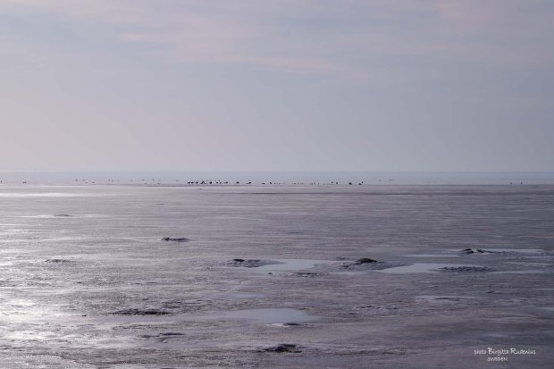 Photo © Birgitta Rudenius