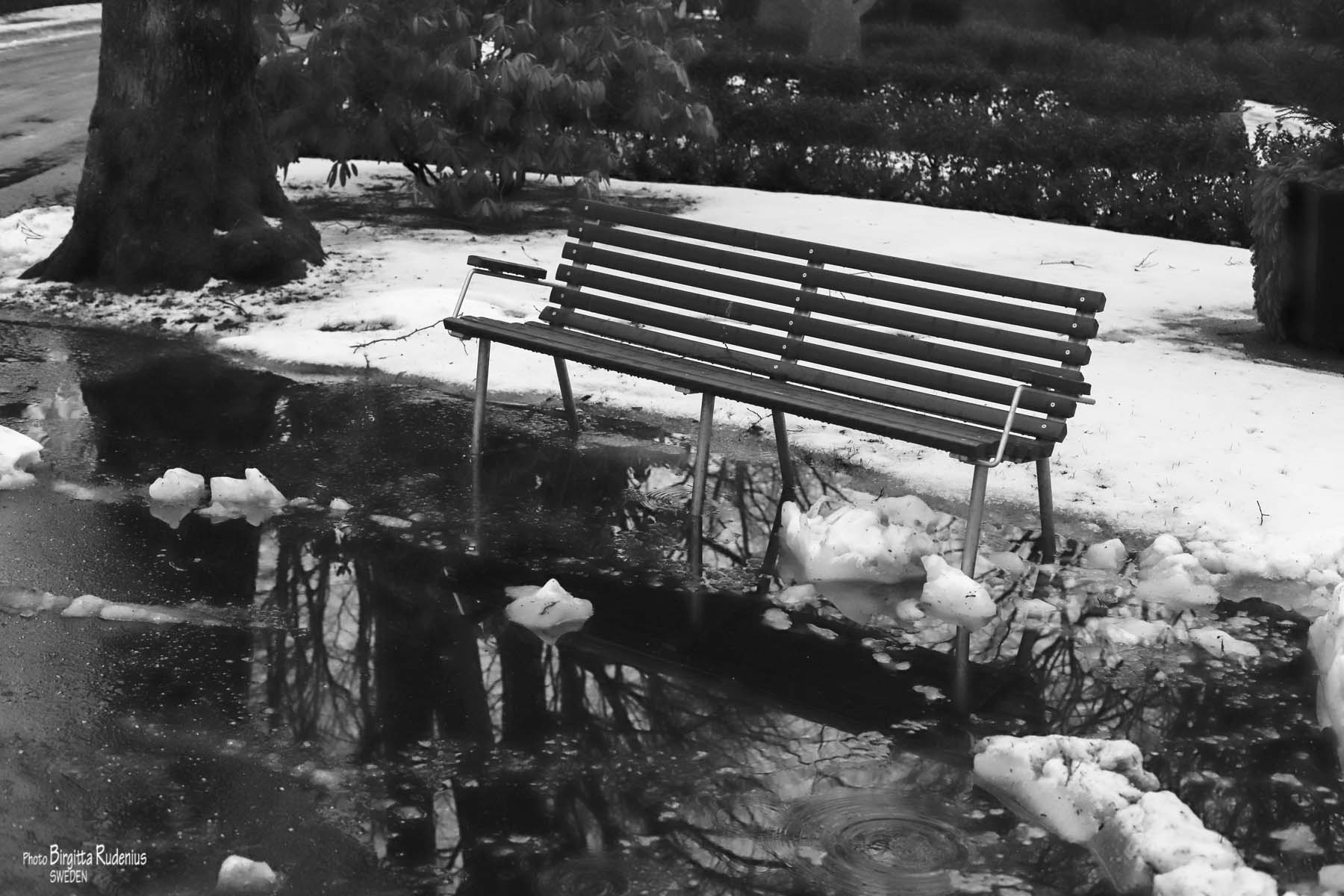 Street Photo © Birgitta Rudenius