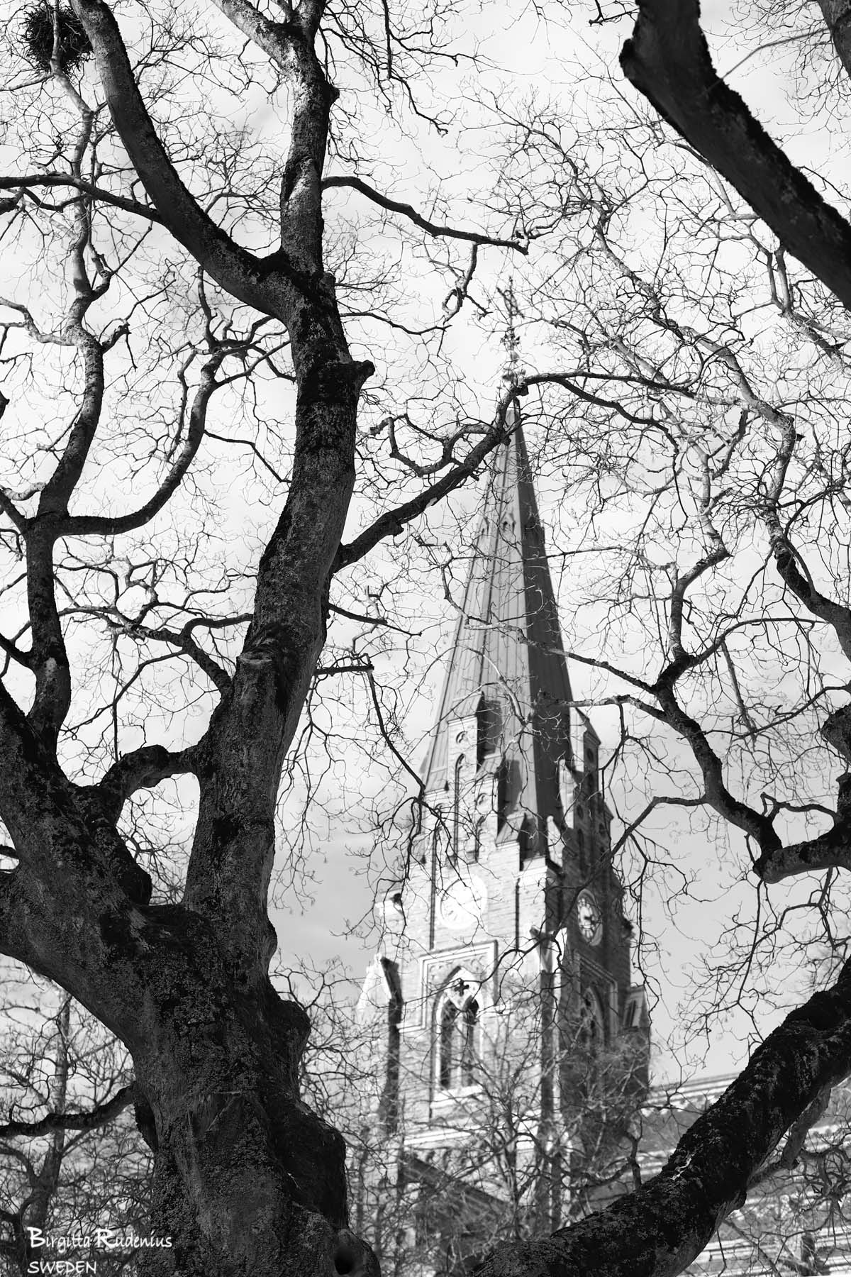 Street Photo © Birgitta Rudenius