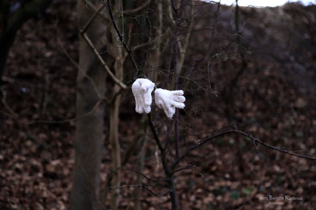 Photo @ Birgitta Rudenius