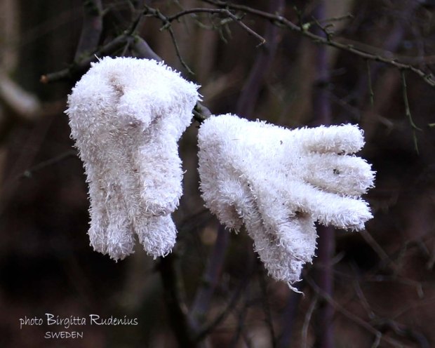 Photo @ Birgitta Rudenius