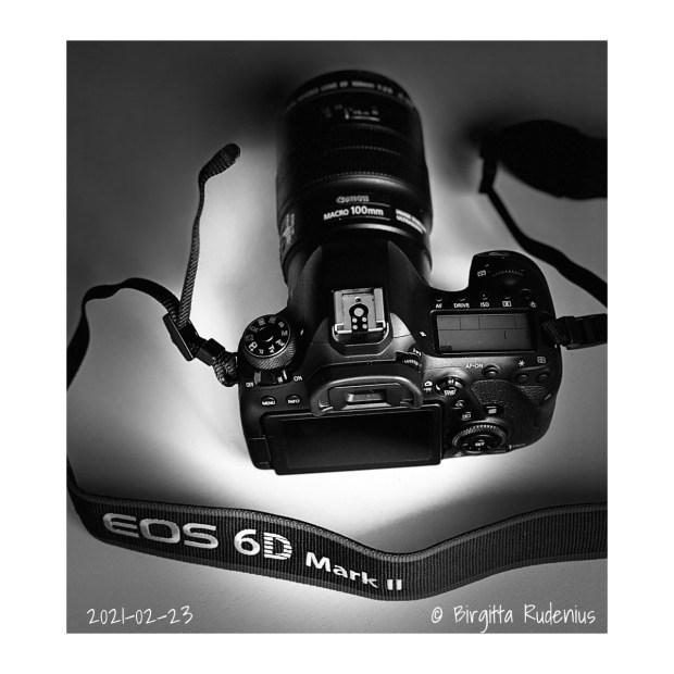 Photo © Birgitta Rudenius