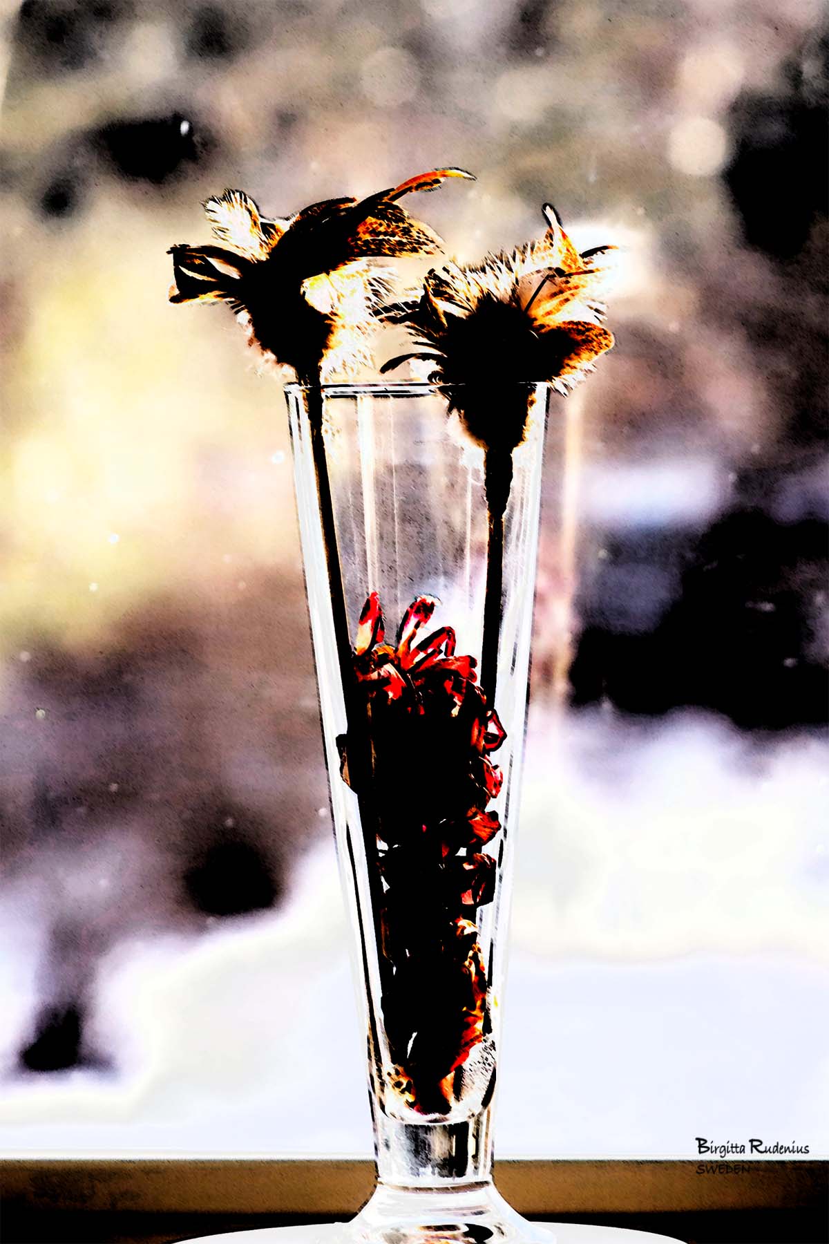 PhotoMania © Birgitta Rudenius