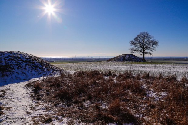 Nature Photo © Birgitta Rudenius