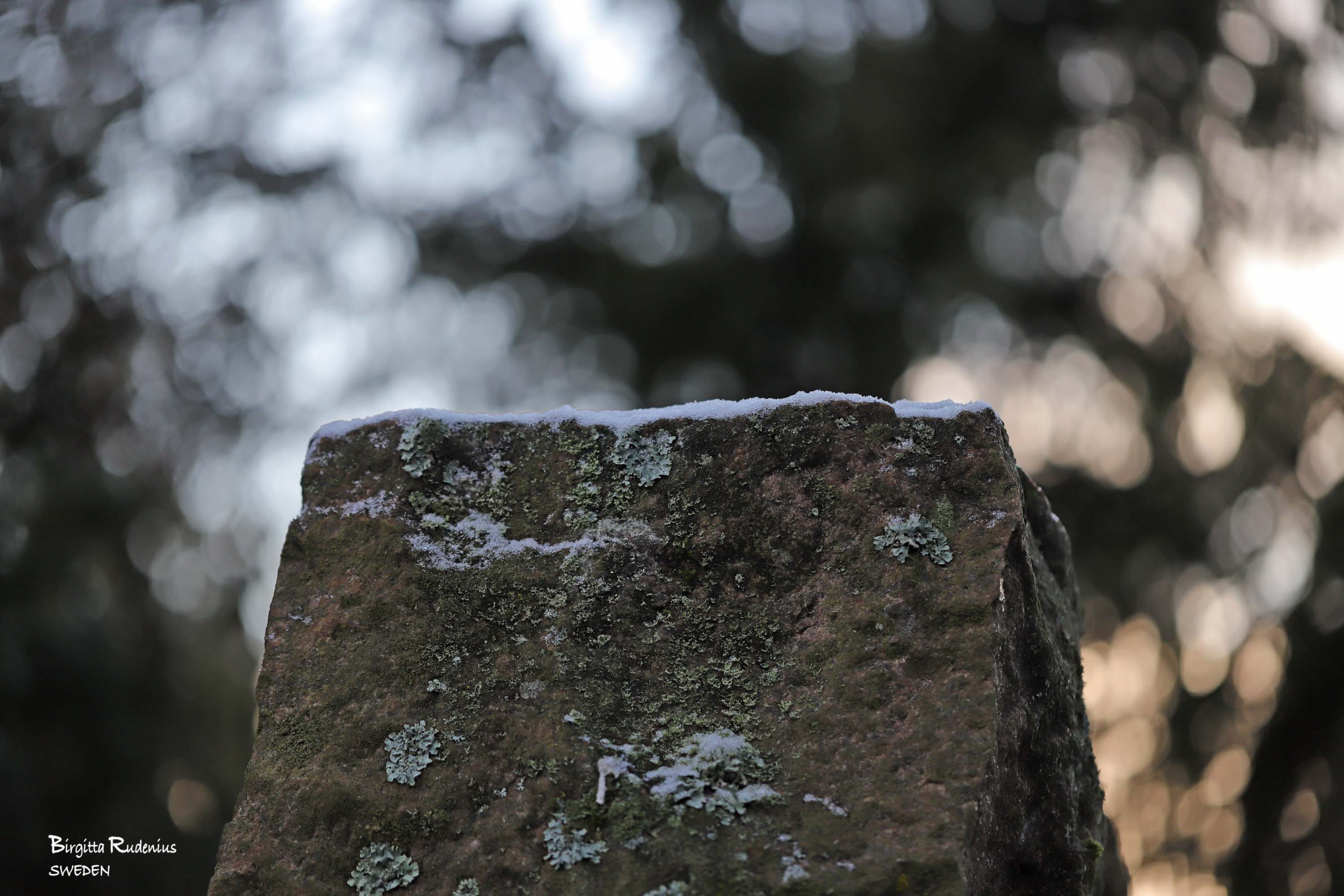 Macro Photo © Birgitta Rudenius