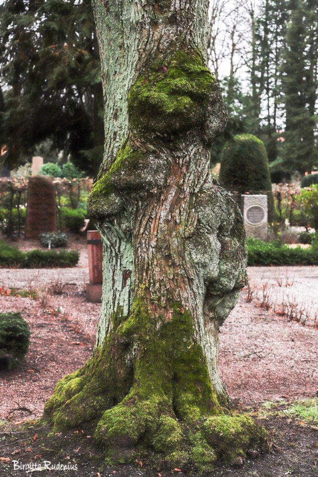 Photo © Birgitta Rudenius