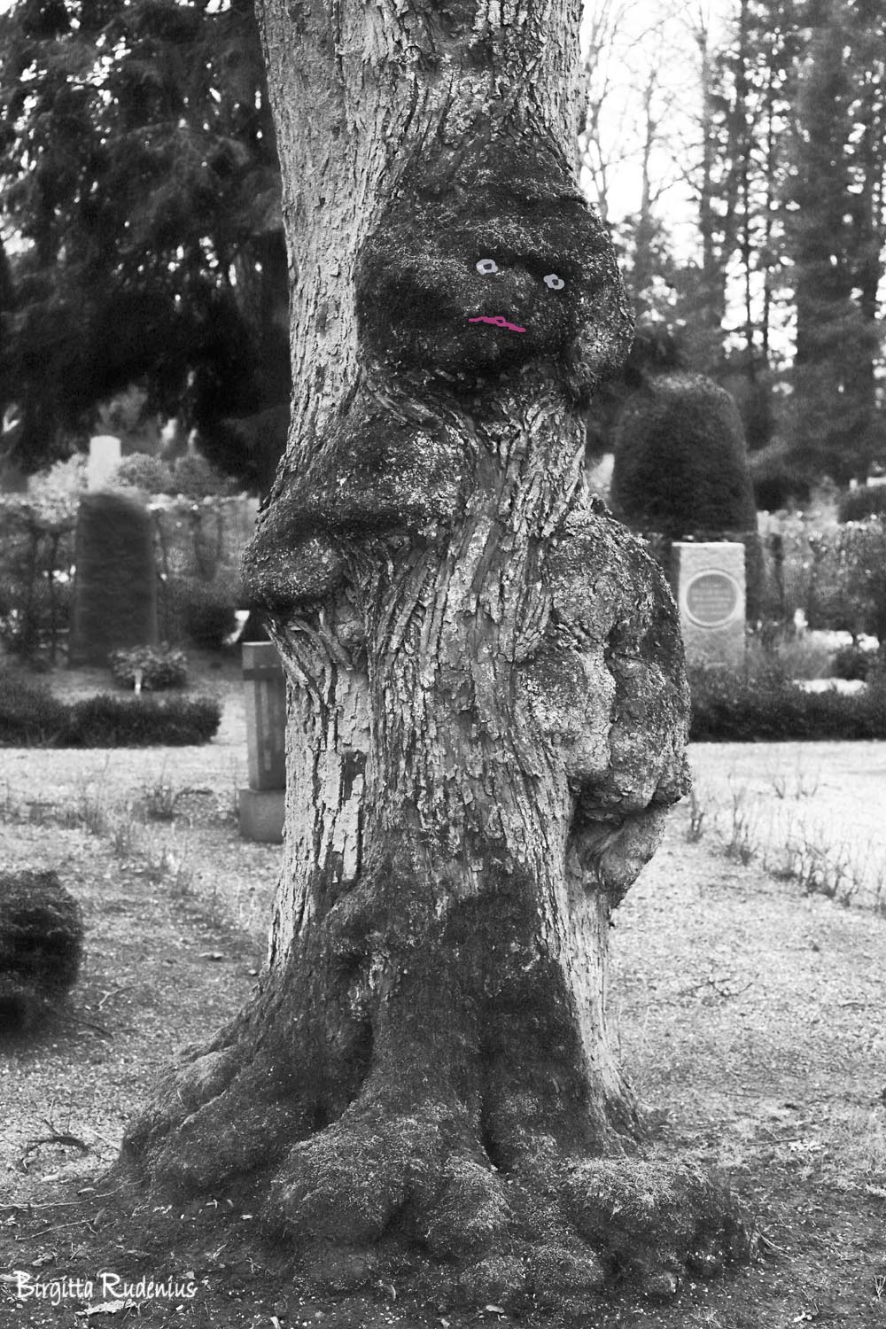 Photo © Birgitta Rudenius