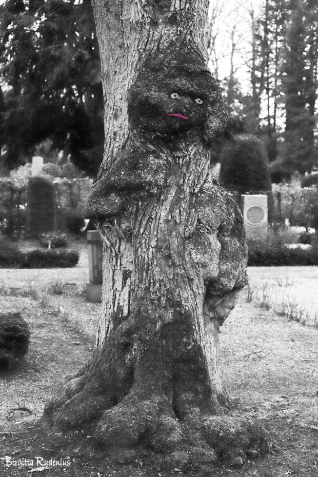 Photo © Birgitta Rudenius