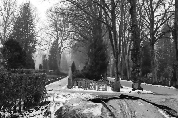 Street Photo @ Birgitta Rudenius