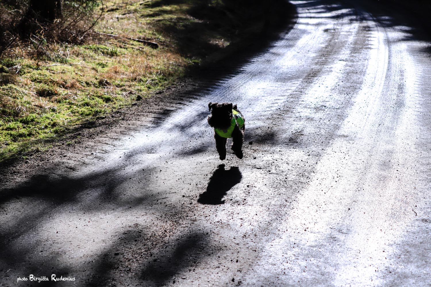 Photo © Birgitta Rudenius