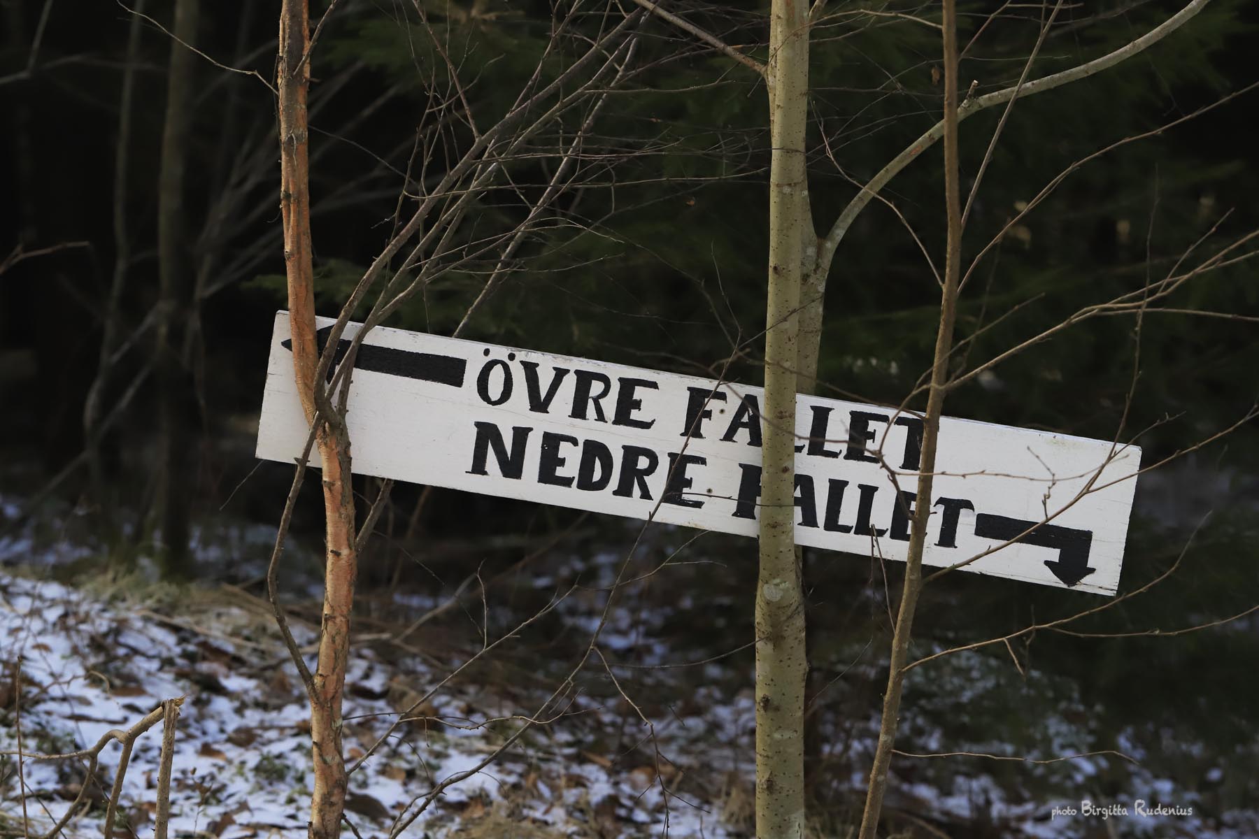 Photo © Birgitta Rudenius