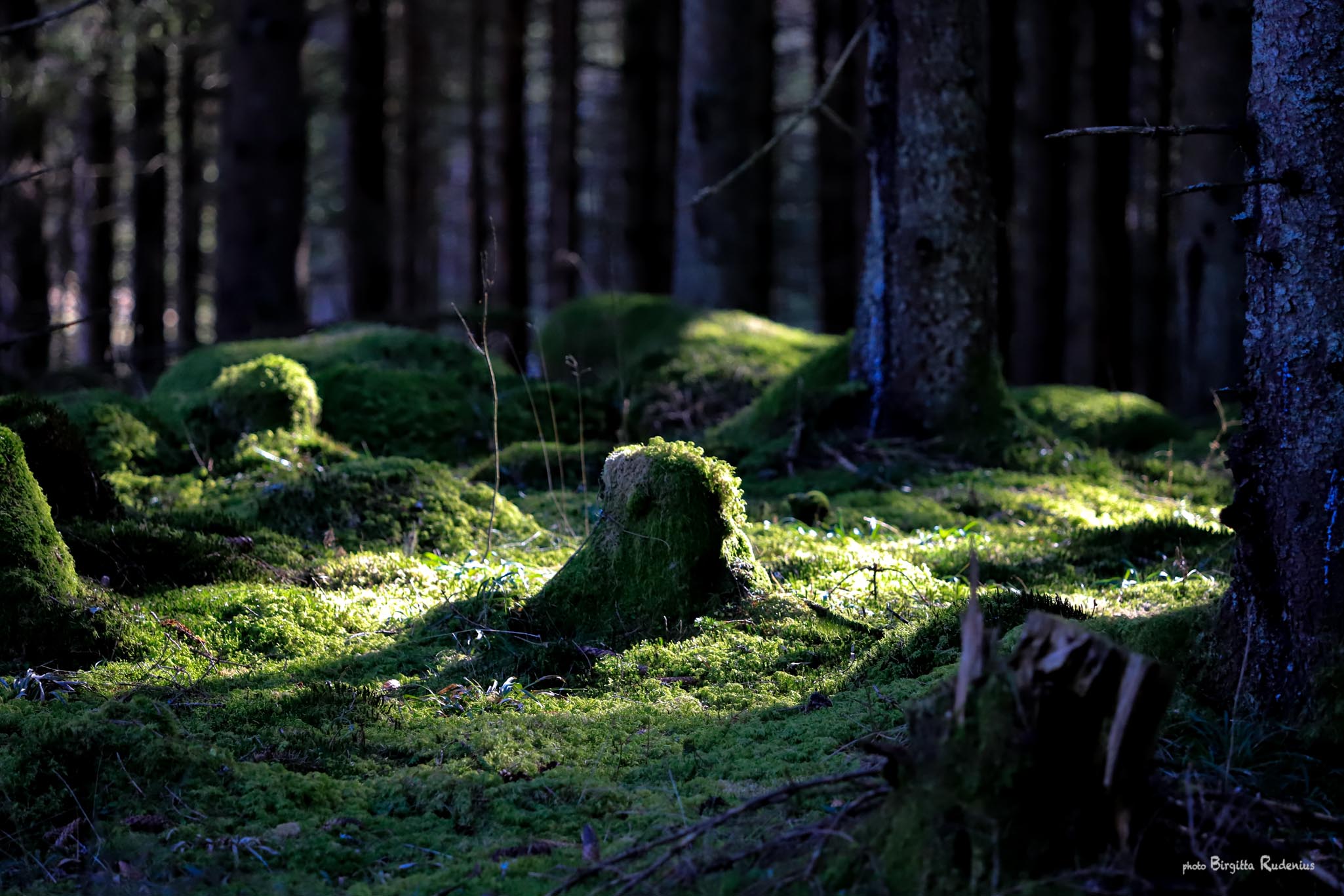 Photo © Birgitta Rudenius