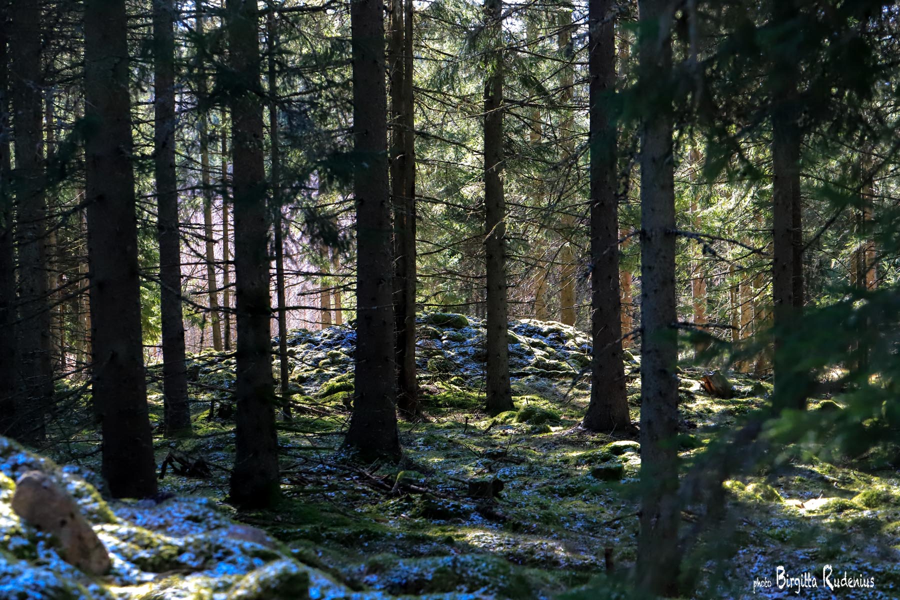 Photo © Birgitta Rudenius