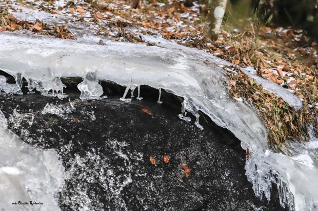 Photo © Birgitta Rudenius