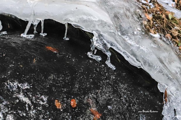 Photo © Birgitta Rudenius