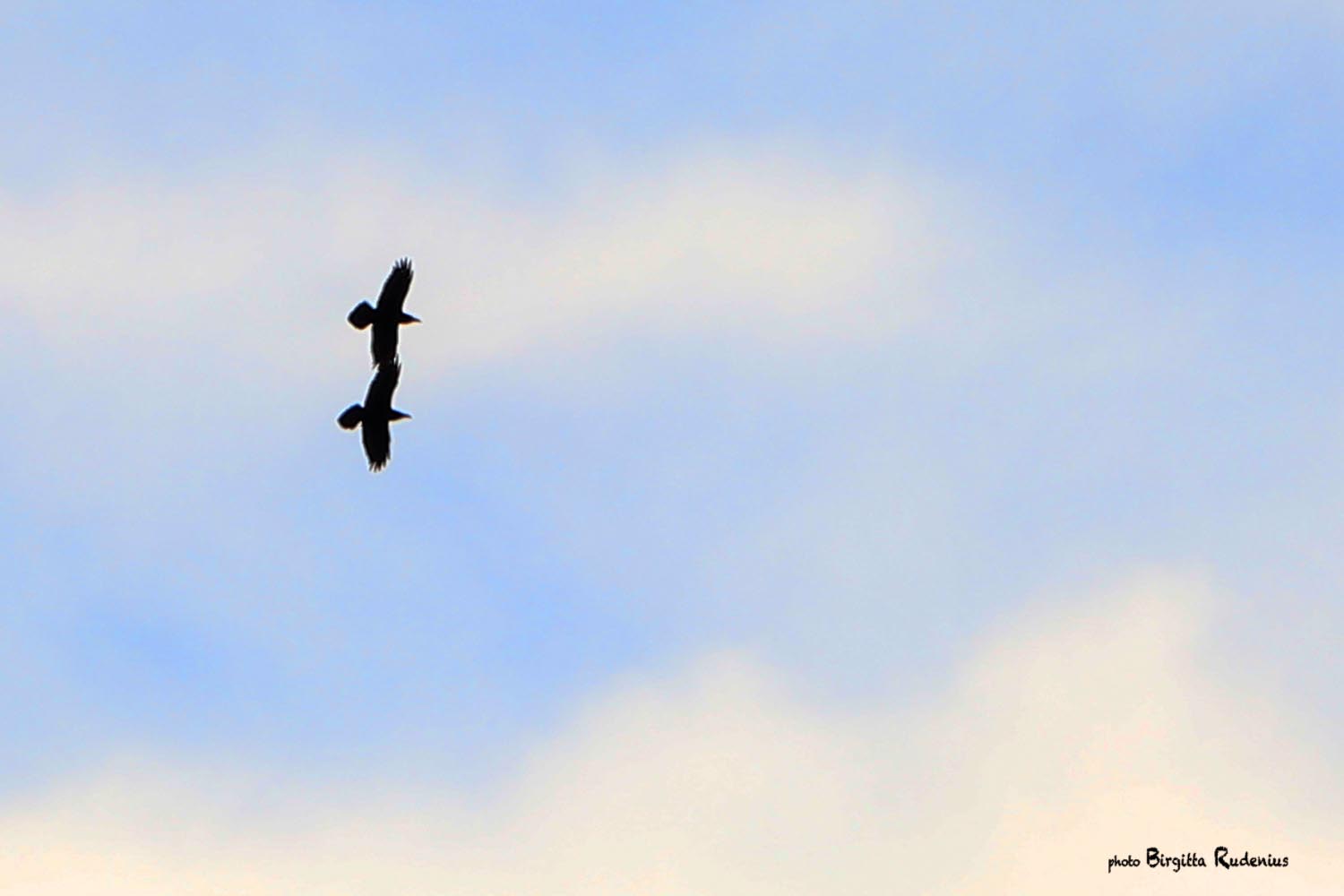 Photo © Birgitta Rudenius