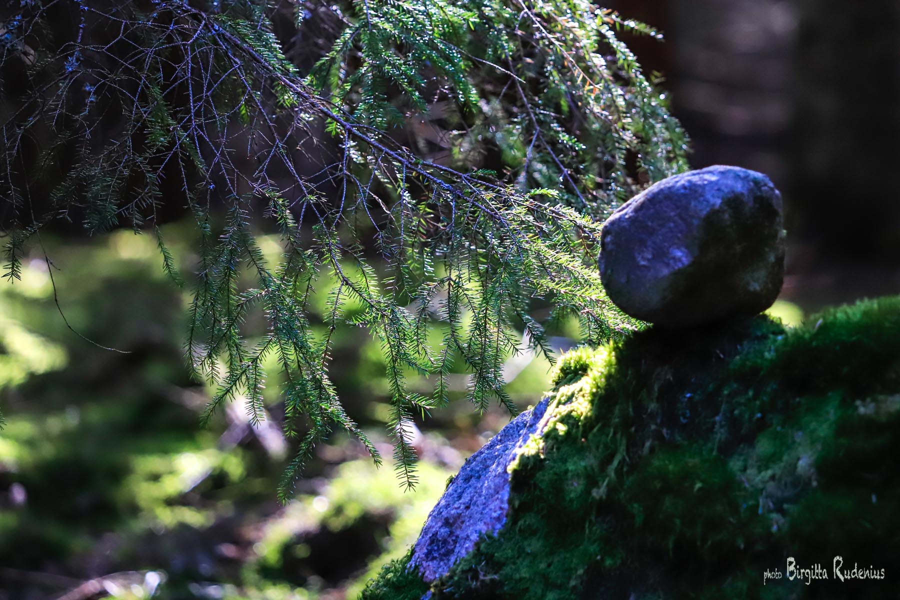 Photo © Birgitta Rudenius