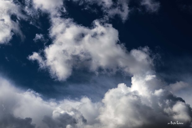 Photo © Birgitta Rudenius