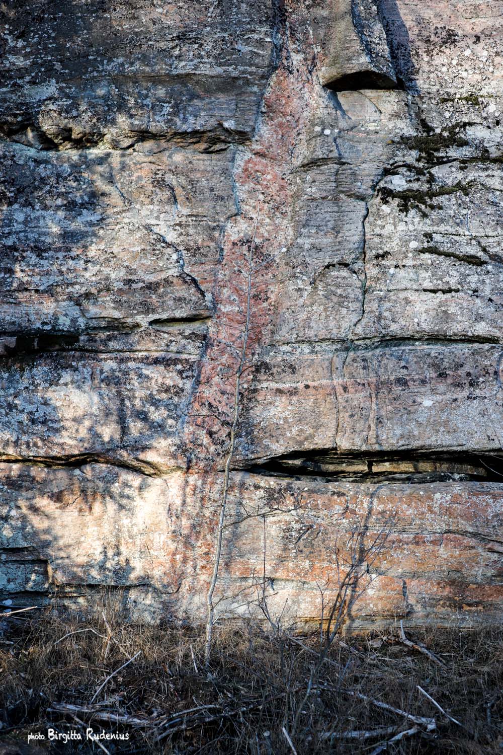 Photo © Birgitta Rudenius