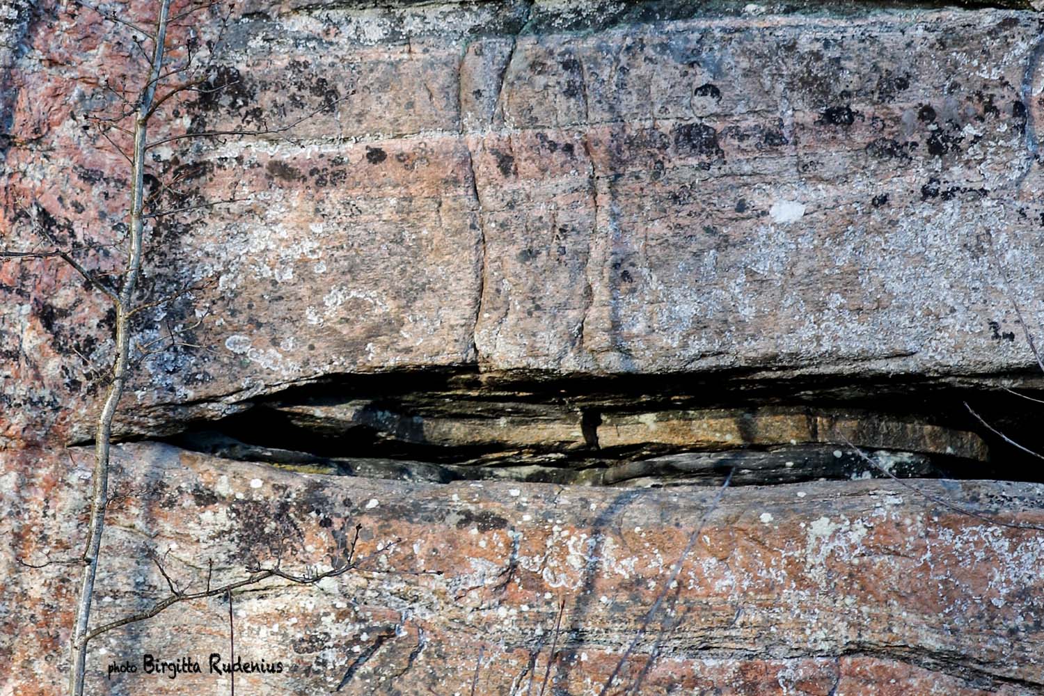 Photo © Birgitta Rudenius