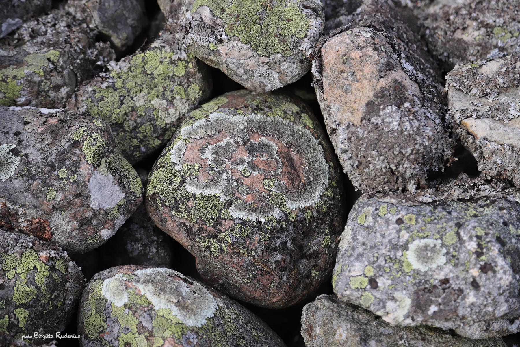 Photo © Birgitta Rudenius