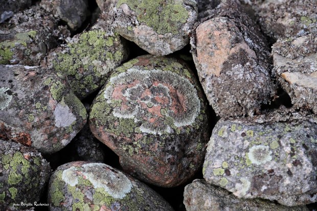 Photo © Birgitta Rudenius