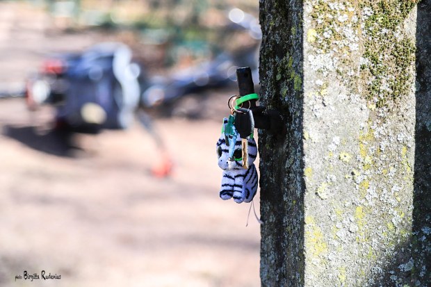 Photo © Birgitta Rudenius