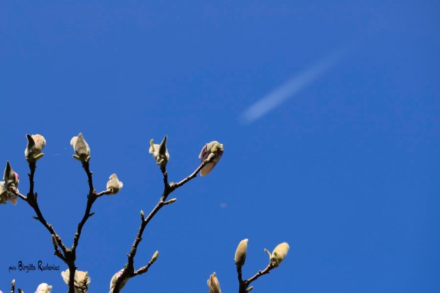 Photo © Birgitta Rudenius