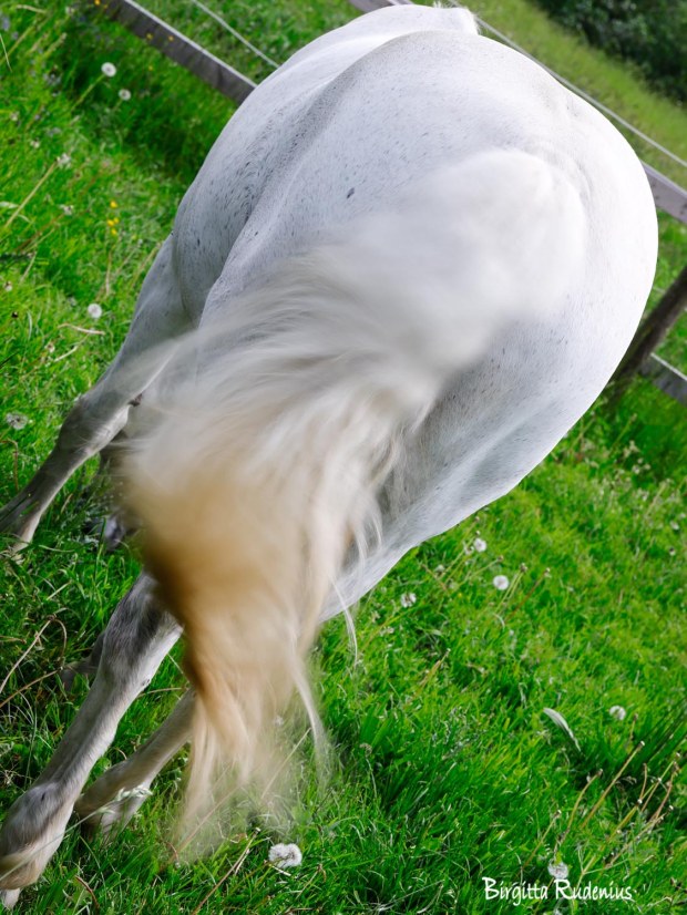 Photo @ Birgitta Rudenius