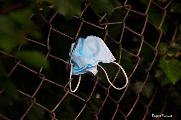 Photo @ Birgitta Rudenius