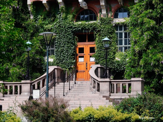 Photo @ Birgitta Rudenius