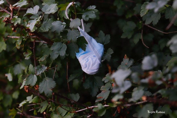 Photo @ Birgitta Rudenius