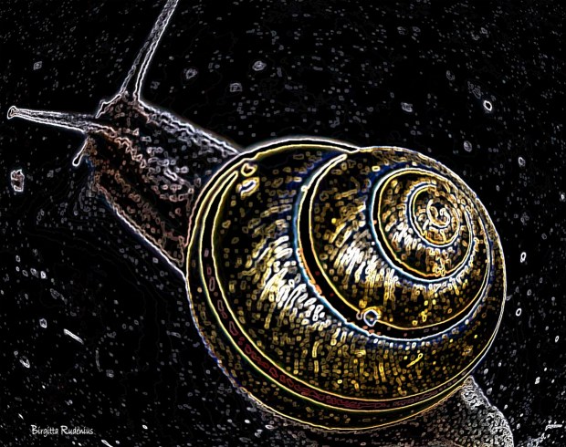 Photo Mania @ Birgitta Rudenius