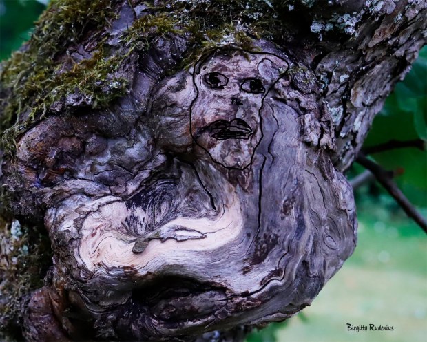 Photo @ Birgitta Rudenius