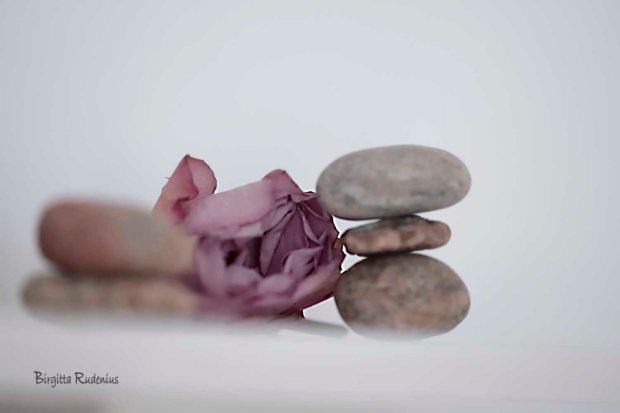 Photo @ Birgitta Rudenius