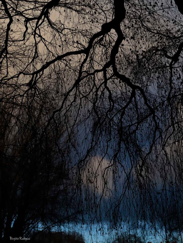 Photo @ Birgitta Rudenius