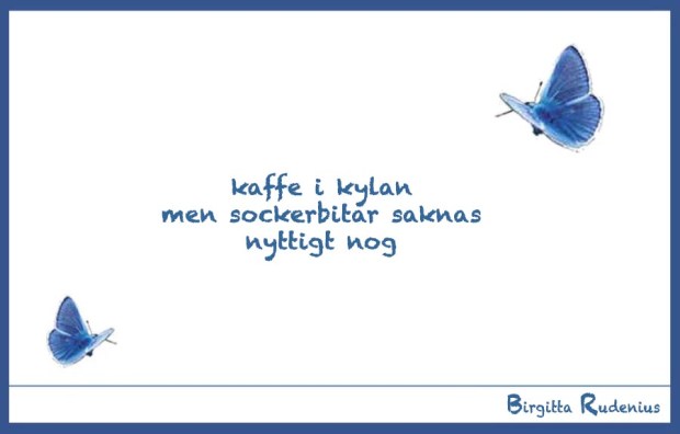 BRpoetry @ Birgitta Rudenius