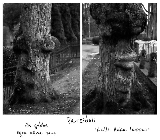 BW photo @ Birgitta Rudenius